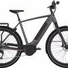 Herre Elcykel Gazelle Ultimate T10 HMB Herre Dust Light - 2020 - Cykelstellet