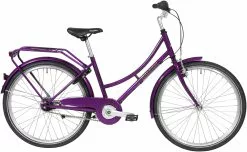 Cykler - Børn Raleigh Darlington Pige 7 Gear 24" - Blank Mørklilla - Cykelstellet